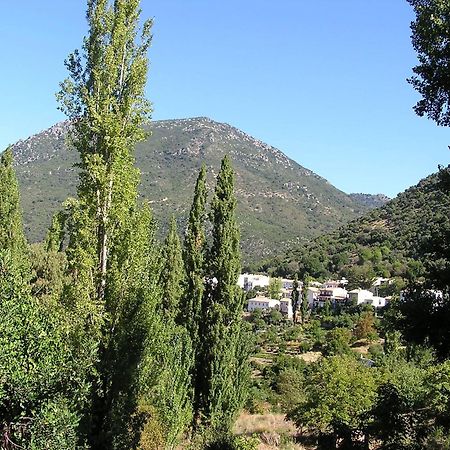 Apartmán Napaimbe Sierra Benamahoma Exteriér fotografie