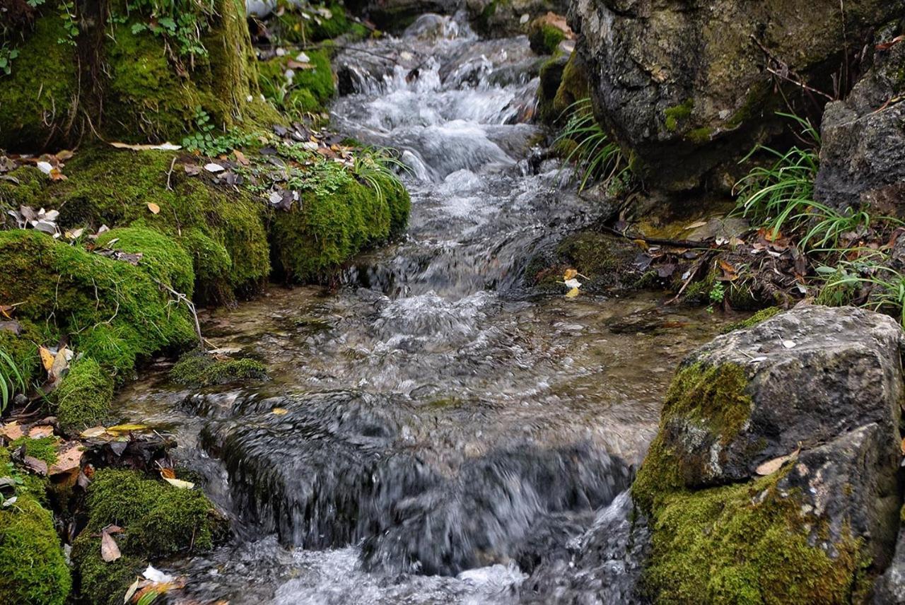 Apartmán Napaimbe Sierra Benamahoma Exteriér fotografie